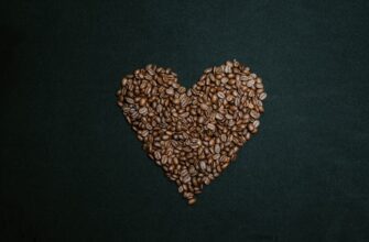store seed phrase safely for beginners
