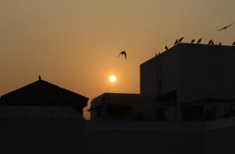 upcoming sol airdrop pakistan 2025