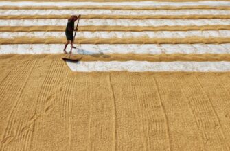 yield farm ada low risk