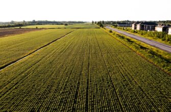 yield farm avax on binance earn flexible