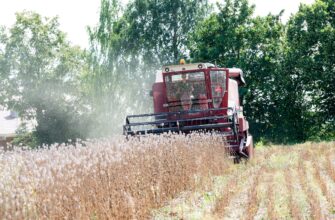 yield farm bnb on beefy finance highest apy