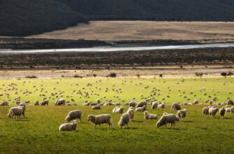 yield farm ethereum on binance earn flexible
