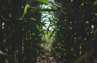 yield farm matic on binance earn highest apy