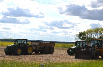 yield farm ton on beefy finance no lock