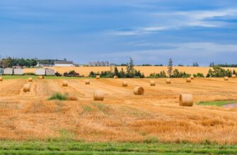 yield farm ton on lido finance low risk