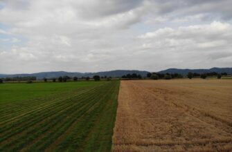 yield farm usdc on aave in 2025
