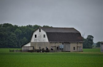 yield farm usdt guide