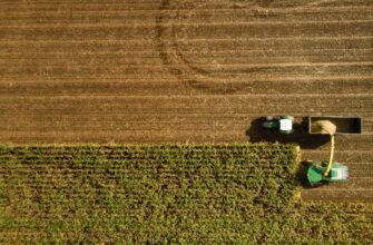 yield farm usdt on yearn finance in 2025