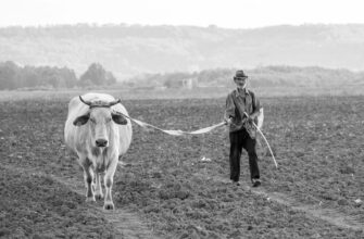 farm atom on aave flexible