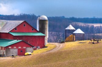 farm ethereum on beefy finance guide