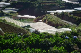farm usdc on compound