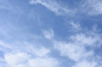 free ethereum airdrop in usa