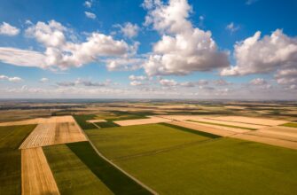 how to report defi yield in argentina