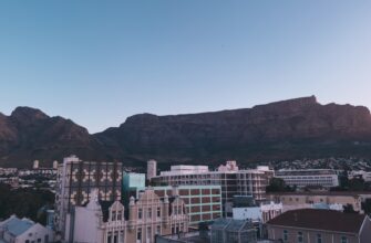 how to report staking rewards in south africa