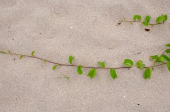 recover seed phrase air gapped for beginners