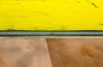 yield farm atom on compound step by step