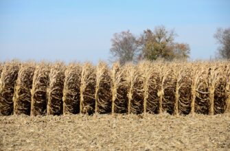 yield farm bnb on coinbase staking low risk